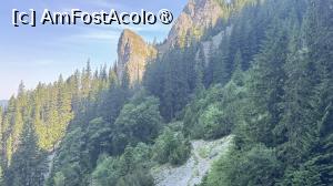 [P08] Spre Padina Lancii » foto by Mika
 - 
<span class="allrVoted glyphicon glyphicon-heart hidden" id="av1491764"></span>
<a class="m-l-10 hidden" id="sv1491764" onclick="voting_Foto_DelVot(,1491764,5764)" role="button">șterge vot <span class="glyphicon glyphicon-remove"></span></a>
<a id="v91491764" class=" c-red"  onclick="voting_Foto_SetVot(1491764)" role="button"><span class="glyphicon glyphicon-heart-empty"></span> <b>LIKE</b> = Votează poza</a> <img class="hidden"  id="f1491764W9" src="/imagini/loader.gif" border="0" /><span class="AjErrMes hidden" id="e1491764ErM"></span>