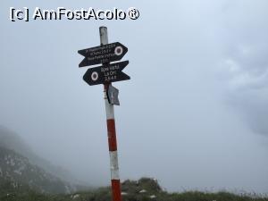 [P10] Creasta Nordică a Craiului » foto by Mika
 - 
<span class="allrVoted glyphicon glyphicon-heart hidden" id="av1508277"></span>
<a class="m-l-10 hidden" id="sv1508277" onclick="voting_Foto_DelVot(,1508277,5764)" role="button">șterge vot <span class="glyphicon glyphicon-remove"></span></a>
<a id="v91508277" class=" c-red"  onclick="voting_Foto_SetVot(1508277)" role="button"><span class="glyphicon glyphicon-heart-empty"></span> <b>LIKE</b> = Votează poza</a> <img class="hidden"  id="f1508277W9" src="/imagini/loader.gif" border="0" /><span class="AjErrMes hidden" id="e1508277ErM"></span>