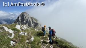 [P17] Creasta Nordică a Craiului » foto by Mika
 - 
<span class="allrVoted glyphicon glyphicon-heart hidden" id="av1508284"></span>
<a class="m-l-10 hidden" id="sv1508284" onclick="voting_Foto_DelVot(,1508284,5764)" role="button">șterge vot <span class="glyphicon glyphicon-remove"></span></a>
<a id="v91508284" class=" c-red"  onclick="voting_Foto_SetVot(1508284)" role="button"><span class="glyphicon glyphicon-heart-empty"></span> <b>LIKE</b> = Votează poza</a> <img class="hidden"  id="f1508284W9" src="/imagini/loader.gif" border="0" /><span class="AjErrMes hidden" id="e1508284ErM"></span>