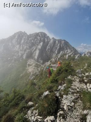 [P21] Creasta Nordică a Craiului » foto by Mika
 - 
<span class="allrVoted glyphicon glyphicon-heart hidden" id="av1508288"></span>
<a class="m-l-10 hidden" id="sv1508288" onclick="voting_Foto_DelVot(,1508288,5764)" role="button">șterge vot <span class="glyphicon glyphicon-remove"></span></a>
<a id="v91508288" class=" c-red"  onclick="voting_Foto_SetVot(1508288)" role="button"><span class="glyphicon glyphicon-heart-empty"></span> <b>LIKE</b> = Votează poza</a> <img class="hidden"  id="f1508288W9" src="/imagini/loader.gif" border="0" /><span class="AjErrMes hidden" id="e1508288ErM"></span>