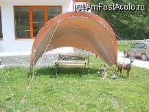[P04] Un loc de relaxare in curtea spatioasa a cabanei. » foto by IUBONI
 - 
<span class="allrVoted glyphicon glyphicon-heart hidden" id="av92742"></span>
<a class="m-l-10 hidden" id="sv92742" onclick="voting_Foto_DelVot(,92742,5801)" role="button">șterge vot <span class="glyphicon glyphicon-remove"></span></a>
<a id="v992742" class=" c-red"  onclick="voting_Foto_SetVot(92742)" role="button"><span class="glyphicon glyphicon-heart-empty"></span> <b>LIKE</b> = Votează poza</a> <img class="hidden"  id="f92742W9" src="/imagini/loader.gif" border="0" /><span class="AjErrMes hidden" id="e92742ErM"></span>