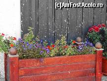 [P19] alte flori. in fiecare primavara se pun alte flori. » foto by cosminp
 - 
<span class="allrVoted glyphicon glyphicon-heart hidden" id="av174173"></span>
<a class="m-l-10 hidden" id="sv174173" onclick="voting_Foto_DelVot(,174173,5839)" role="button">șterge vot <span class="glyphicon glyphicon-remove"></span></a>
<a id="v9174173" class=" c-red"  onclick="voting_Foto_SetVot(174173)" role="button"><span class="glyphicon glyphicon-heart-empty"></span> <b>LIKE</b> = Votează poza</a> <img class="hidden"  id="f174173W9" src="/imagini/loader.gif" border="0" /><span class="AjErrMes hidden" id="e174173ErM"></span>