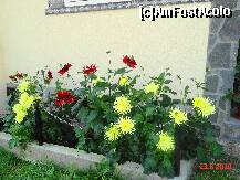 [P09] flori superbe la intrarea in pensiune » foto by cosminp
 - 
<span class="allrVoted glyphicon glyphicon-heart hidden" id="av174122"></span>
<a class="m-l-10 hidden" id="sv174122" onclick="voting_Foto_DelVot(,174122,5839)" role="button">șterge vot <span class="glyphicon glyphicon-remove"></span></a>
<a id="v9174122" class=" c-red"  onclick="voting_Foto_SetVot(174122)" role="button"><span class="glyphicon glyphicon-heart-empty"></span> <b>LIKE</b> = Votează poza</a> <img class="hidden"  id="f174122W9" src="/imagini/loader.gif" border="0" /><span class="AjErrMes hidden" id="e174122ErM"></span>
