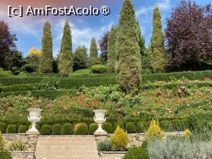 [P32] Giardini di Zoe » foto by aurora56
 - 
<span class="allrVoted glyphicon glyphicon-heart hidden" id="av1393066"></span>
<a class="m-l-10 hidden" id="sv1393066" onclick="voting_Foto_DelVot(,1393066,5840)" role="button">șterge vot <span class="glyphicon glyphicon-remove"></span></a>
<a id="v91393066" class=" c-red"  onclick="voting_Foto_SetVot(1393066)" role="button"><span class="glyphicon glyphicon-heart-empty"></span> <b>LIKE</b> = Votează poza</a> <img class="hidden"  id="f1393066W9" src="/imagini/loader.gif" border="0" /><span class="AjErrMes hidden" id="e1393066ErM"></span>