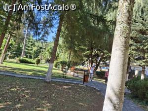 [P14] Parcul rezervație naturală din centrul stațiunii » foto by Carmen Ion
 - 
<span class="allrVoted glyphicon glyphicon-heart hidden" id="av1512479"></span>
<a class="m-l-10 hidden" id="sv1512479" onclick="voting_Foto_DelVot(,1512479,5840)" role="button">șterge vot <span class="glyphicon glyphicon-remove"></span></a>
<a id="v91512479" class=" c-red"  onclick="voting_Foto_SetVot(1512479)" role="button"><span class="glyphicon glyphicon-heart-empty"></span> <b>LIKE</b> = Votează poza</a> <img class="hidden"  id="f1512479W9" src="/imagini/loader.gif" border="0" /><span class="AjErrMes hidden" id="e1512479ErM"></span>