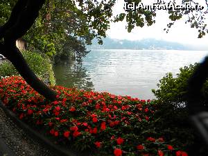 [P13] Lugano » foto by anidance
 - 
<span class="allrVoted glyphicon glyphicon-heart hidden" id="av549005"></span>
<a class="m-l-10 hidden" id="sv549005" onclick="voting_Foto_DelVot(,549005,5852)" role="button">șterge vot <span class="glyphicon glyphicon-remove"></span></a>
<a id="v9549005" class=" c-red"  onclick="voting_Foto_SetVot(549005)" role="button"><span class="glyphicon glyphicon-heart-empty"></span> <b>LIKE</b> = Votează poza</a> <img class="hidden"  id="f549005W9" src="/imagini/loader.gif" border="0" /><span class="AjErrMes hidden" id="e549005ErM"></span>