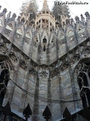 [P19]  -- <small>// FĂRĂ DESCRIERE</small> » foto by anidance
 - 
<span class="allrVoted glyphicon glyphicon-heart hidden" id="av549011"></span>
<a class="m-l-10 hidden" id="sv549011" onclick="voting_Foto_DelVot(,549011,5852)" role="button">șterge vot <span class="glyphicon glyphicon-remove"></span></a>
<a id="v9549011" class=" c-red"  onclick="voting_Foto_SetVot(549011)" role="button"><span class="glyphicon glyphicon-heart-empty"></span> <b>LIKE</b> = Votează poza</a> <img class="hidden"  id="f549011W9" src="/imagini/loader.gif" border="0" /><span class="AjErrMes hidden" id="e549011ErM"></span>