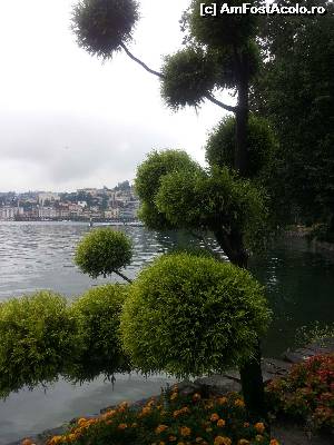 [P02] LUGANO » foto by anidance
 - 
<span class="allrVoted glyphicon glyphicon-heart hidden" id="av548994"></span>
<a class="m-l-10 hidden" id="sv548994" onclick="voting_Foto_DelVot(,548994,5852)" role="button">șterge vot <span class="glyphicon glyphicon-remove"></span></a>
<a id="v9548994" class=" c-red"  onclick="voting_Foto_SetVot(548994)" role="button"><span class="glyphicon glyphicon-heart-empty"></span> <b>LIKE</b> = Votează poza</a> <img class="hidden"  id="f548994W9" src="/imagini/loader.gif" border="0" /><span class="AjErrMes hidden" id="e548994ErM"></span>