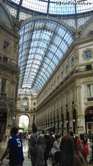 [P24]  -- <small>// FĂRĂ DESCRIERE</small> » foto by anidance
 - 
<span class="allrVoted glyphicon glyphicon-heart hidden" id="av549016"></span>
<a class="m-l-10 hidden" id="sv549016" onclick="voting_Foto_DelVot(,549016,5852)" role="button">șterge vot <span class="glyphicon glyphicon-remove"></span></a>
<a id="v9549016" class=" c-red"  onclick="voting_Foto_SetVot(549016)" role="button"><span class="glyphicon glyphicon-heart-empty"></span> <b>LIKE</b> = Votează poza</a> <img class="hidden"  id="f549016W9" src="/imagini/loader.gif" border="0" /><span class="AjErrMes hidden" id="e549016ErM"></span>