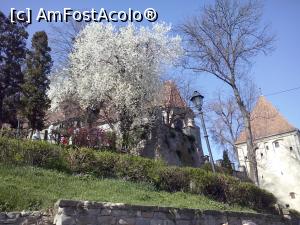 [P01] Horbota de corcodus intinerit  langa batranele ziduri ale Cetatii Sighisoara » foto by kikiritzi
 - 
<span class="allrVoted glyphicon glyphicon-heart hidden" id="av727155"></span>
<a class="m-l-10 hidden" id="sv727155" onclick="voting_Foto_DelVot(,727155,5855)" role="button">șterge vot <span class="glyphicon glyphicon-remove"></span></a>
<a id="v9727155" class=" c-red"  onclick="voting_Foto_SetVot(727155)" role="button"><span class="glyphicon glyphicon-heart-empty"></span> <b>LIKE</b> = Votează poza</a> <img class="hidden"  id="f727155W9" src="/imagini/loader.gif" border="0" /><span class="AjErrMes hidden" id="e727155ErM"></span>