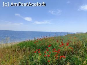 [P01] Marea Neagră la bulgari - &icirc;ntr-acolo ne &icirc;ndreptăm pe 1 Iunie. » foto by tata123 🔱
 - 
<span class="allrVoted glyphicon glyphicon-heart hidden" id="av1368152"></span>
<a class="m-l-10 hidden" id="sv1368152" onclick="voting_Foto_DelVot(,1368152,5875)" role="button">șterge vot <span class="glyphicon glyphicon-remove"></span></a>
<a id="v91368152" class=" c-red"  onclick="voting_Foto_SetVot(1368152)" role="button"><span class="glyphicon glyphicon-heart-empty"></span> <b>LIKE</b> = Votează poza</a> <img class="hidden"  id="f1368152W9" src="/imagini/loader.gif" border="0" /><span class="AjErrMes hidden" id="e1368152ErM"></span>