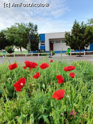 [P03] Model toalete pe Autostrada Soarelui. » foto by tata123 🔱
 - 
<span class="allrVoted glyphicon glyphicon-heart hidden" id="av1368154"></span>
<a class="m-l-10 hidden" id="sv1368154" onclick="voting_Foto_DelVot(,1368154,5875)" role="button">șterge vot <span class="glyphicon glyphicon-remove"></span></a>
<a id="v91368154" class=" c-red"  onclick="voting_Foto_SetVot(1368154)" role="button"><span class="glyphicon glyphicon-heart-empty"></span> <b>LIKE</b> = Votează poza</a> <img class="hidden"  id="f1368154W9" src="/imagini/loader.gif" border="0" /><span class="AjErrMes hidden" id="e1368154ErM"></span>