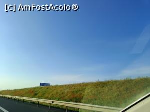 [P05] O &bdquo;mare&rdquo; de maci pe marginea șoselei. » foto by tata123 🔱
 - 
<span class="allrVoted glyphicon glyphicon-heart hidden" id="av1368156"></span>
<a class="m-l-10 hidden" id="sv1368156" onclick="voting_Foto_DelVot(,1368156,5875)" role="button">șterge vot <span class="glyphicon glyphicon-remove"></span></a>
<a id="v91368156" class=" c-red"  onclick="voting_Foto_SetVot(1368156)" role="button"><span class="glyphicon glyphicon-heart-empty"></span> <b>LIKE</b> = Votează poza</a> <img class="hidden"  id="f1368156W9" src="/imagini/loader.gif" border="0" /><span class="AjErrMes hidden" id="e1368156ErM"></span>