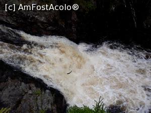 P09 [AUG-2017] Cascada Shin pe care somonii o sar in amonte pentru a urca sus pe rau, ca sa-si depuna icrele. Se vede si somonul. A fost un spectacol extraordinar. 