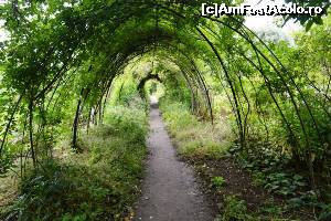 [P38] Castelul Cawdor - grădini » foto by makuy*
 - 
<span class="allrVoted glyphicon glyphicon-heart hidden" id="av654100"></span>
<a class="m-l-10 hidden" id="sv654100" onclick="voting_Foto_DelVot(,654100,5887)" role="button">șterge vot <span class="glyphicon glyphicon-remove"></span></a>
<a id="v9654100" class=" c-red"  onclick="voting_Foto_SetVot(654100)" role="button"><span class="glyphicon glyphicon-heart-empty"></span> <b>LIKE</b> = Votează poza</a> <img class="hidden"  id="f654100W9" src="/imagini/loader.gif" border="0" /><span class="AjErrMes hidden" id="e654100ErM"></span>