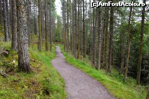 [P40] Roggie Falls - cărarea prin pădure » foto by makuy*
 - 
<span class="allrVoted glyphicon glyphicon-heart hidden" id="av654103"></span>
<a class="m-l-10 hidden" id="sv654103" onclick="voting_Foto_DelVot(,654103,5887)" role="button">șterge vot <span class="glyphicon glyphicon-remove"></span></a>
<a id="v9654103" class=" c-red"  onclick="voting_Foto_SetVot(654103)" role="button"><span class="glyphicon glyphicon-heart-empty"></span> <b>LIKE</b> = Votează poza</a> <img class="hidden"  id="f654103W9" src="/imagini/loader.gif" border="0" /><span class="AjErrMes hidden" id="e654103ErM"></span>