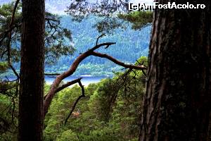 [P45] Cascada Foyers - vedere peste Loch Ness » foto by makuy*
 - 
<span class="allrVoted glyphicon glyphicon-heart hidden" id="av654111"></span>
<a class="m-l-10 hidden" id="sv654111" onclick="voting_Foto_DelVot(,654111,5887)" role="button">șterge vot <span class="glyphicon glyphicon-remove"></span></a>
<a id="v9654111" class=" c-red"  onclick="voting_Foto_SetVot(654111)" role="button"><span class="glyphicon glyphicon-heart-empty"></span> <b>LIKE</b> = Votează poza</a> <img class="hidden"  id="f654111W9" src="/imagini/loader.gif" border="0" /><span class="AjErrMes hidden" id="e654111ErM"></span>