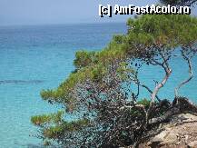 [P34] peisaj salbatic din zona plajei Portokali » foto by sandu.53
 - 
<span class="allrVoted glyphicon glyphicon-heart hidden" id="av127199"></span>
<a class="m-l-10 hidden" id="sv127199" onclick="voting_Foto_DelVot(,127199,5915)" role="button">șterge vot <span class="glyphicon glyphicon-remove"></span></a>
<a id="v9127199" class=" c-red"  onclick="voting_Foto_SetVot(127199)" role="button"><span class="glyphicon glyphicon-heart-empty"></span> <b>LIKE</b> = Votează poza</a> <img class="hidden"  id="f127199W9" src="/imagini/loader.gif" border="0" /><span class="AjErrMes hidden" id="e127199ErM"></span>