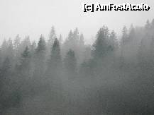 [P17] Asta vedeam dimineata cand serveam micul dejun. » foto by gabi_cluj
 - 
<span class="allrVoted glyphicon glyphicon-heart hidden" id="av199087"></span>
<a class="m-l-10 hidden" id="sv199087" onclick="voting_Foto_DelVot(,199087,5952)" role="button">șterge vot <span class="glyphicon glyphicon-remove"></span></a>
<a id="v9199087" class=" c-red"  onclick="voting_Foto_SetVot(199087)" role="button"><span class="glyphicon glyphicon-heart-empty"></span> <b>LIKE</b> = Votează poza</a> <img class="hidden"  id="f199087W9" src="/imagini/loader.gif" border="0" /><span class="AjErrMes hidden" id="e199087ErM"></span>