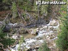 [P09] Din excursie. » foto by gabi_cluj
 - 
<span class="allrVoted glyphicon glyphicon-heart hidden" id="av199077"></span>
<a class="m-l-10 hidden" id="sv199077" onclick="voting_Foto_DelVot(,199077,5952)" role="button">șterge vot <span class="glyphicon glyphicon-remove"></span></a>
<a id="v9199077" class=" c-red"  onclick="voting_Foto_SetVot(199077)" role="button"><span class="glyphicon glyphicon-heart-empty"></span> <b>LIKE</b> = Votează poza</a> <img class="hidden"  id="f199077W9" src="/imagini/loader.gif" border="0" /><span class="AjErrMes hidden" id="e199077ErM"></span>