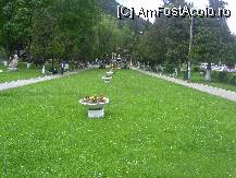 [P13] Parcul Central Bran din apropierea restaurantului » foto by krondia*
 - 
<span class="allrVoted glyphicon glyphicon-heart hidden" id="av94450"></span>
<a class="m-l-10 hidden" id="sv94450" onclick="voting_Foto_DelVot(,94450,5977)" role="button">șterge vot <span class="glyphicon glyphicon-remove"></span></a>
<a id="v994450" class=" c-red"  onclick="voting_Foto_SetVot(94450)" role="button"><span class="glyphicon glyphicon-heart-empty"></span> <b>LIKE</b> = Votează poza</a> <img class="hidden"  id="f94450W9" src="/imagini/loader.gif" border="0" /><span class="AjErrMes hidden" id="e94450ErM"></span>
