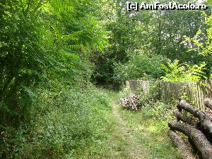 [P17] Cărarea spre zona ”La Nămoluri” urcă prin pădure.  » foto by Floryn81
 - 
<span class="allrVoted glyphicon glyphicon-heart hidden" id="av538476"></span>
<a class="m-l-10 hidden" id="sv538476" onclick="voting_Foto_DelVot(,538476,5979)" role="button">șterge vot <span class="glyphicon glyphicon-remove"></span></a>
<a id="v9538476" class=" c-red"  onclick="voting_Foto_SetVot(538476)" role="button"><span class="glyphicon glyphicon-heart-empty"></span> <b>LIKE</b> = Votează poza</a> <img class="hidden"  id="f538476W9" src="/imagini/loader.gif" border="0" /><span class="AjErrMes hidden" id="e538476ErM"></span>