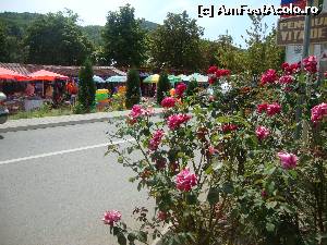[P22] Am revenit în zona centrală. Aici există un bazar.  » foto by Floryn81
 - 
<span class="allrVoted glyphicon glyphicon-heart hidden" id="av538481"></span>
<a class="m-l-10 hidden" id="sv538481" onclick="voting_Foto_DelVot(,538481,5979)" role="button">șterge vot <span class="glyphicon glyphicon-remove"></span></a>
<a id="v9538481" class=" c-red"  onclick="voting_Foto_SetVot(538481)" role="button"><span class="glyphicon glyphicon-heart-empty"></span> <b>LIKE</b> = Votează poza</a> <img class="hidden"  id="f538481W9" src="/imagini/loader.gif" border="0" /><span class="AjErrMes hidden" id="e538481ErM"></span>