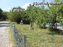 [P16] Sărata Monteoru - Sculpturi în piatră pe spaţiul verde.  » foto by iulianic
 - 
<span class="allrVoted glyphicon glyphicon-heart hidden" id="av467272"></span>
<a class="m-l-10 hidden" id="sv467272" onclick="voting_Foto_DelVot(,467272,5979)" role="button">șterge vot <span class="glyphicon glyphicon-remove"></span></a>
<a id="v9467272" class=" c-red"  onclick="voting_Foto_SetVot(467272)" role="button"><span class="glyphicon glyphicon-heart-empty"></span> <b>LIKE</b> = Votează poza</a> <img class="hidden"  id="f467272W9" src="/imagini/loader.gif" border="0" /><span class="AjErrMes hidden" id="e467272ErM"></span>