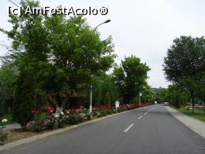 [P25] Strada principală din stațiune. » foto by tata123 🔱
 - 
<span class="allrVoted glyphicon glyphicon-heart hidden" id="av1168916"></span>
<a class="m-l-10 hidden" id="sv1168916" onclick="voting_Foto_DelVot(,1168916,5979)" role="button">șterge vot <span class="glyphicon glyphicon-remove"></span></a>
<a id="v91168916" class=" c-red"  onclick="voting_Foto_SetVot(1168916)" role="button"><span class="glyphicon glyphicon-heart-empty"></span> <b>LIKE</b> = Votează poza</a> <img class="hidden"  id="f1168916W9" src="/imagini/loader.gif" border="0" /><span class="AjErrMes hidden" id="e1168916ErM"></span>