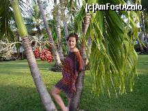 [P04] cit m-am abtinut sa nu maninc fructele alea rosii...n-am aflat daca sint comestibile sau nu.Flavius,tu ce spui? » foto by adri-nico
 - 
<span class="allrVoted glyphicon glyphicon-heart hidden" id="av266662"></span>
<a class="m-l-10 hidden" id="sv266662" onclick="voting_Foto_DelVot(,266662,5988)" role="button">șterge vot <span class="glyphicon glyphicon-remove"></span></a>
<a id="v9266662" class=" c-red"  onclick="voting_Foto_SetVot(266662)" role="button"><span class="glyphicon glyphicon-heart-empty"></span> <b>LIKE</b> = Votează poza</a> <img class="hidden"  id="f266662W9" src="/imagini/loader.gif" border="0" /><span class="AjErrMes hidden" id="e266662ErM"></span>