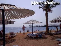 [P04] Albatros Aqua Blu, Hurgada - o parte din plaja hotelului Albatros Beach, la care aveam acces nelimitat. Existau si minicaruri care te duceau pana acolo. » foto by IUBONI
 - 
<span class="allrVoted glyphicon glyphicon-heart hidden" id="av82587"></span>
<a class="m-l-10 hidden" id="sv82587" onclick="voting_Foto_DelVot(,82587,5993)" role="button">șterge vot <span class="glyphicon glyphicon-remove"></span></a>
<a id="v982587" class=" c-red"  onclick="voting_Foto_SetVot(82587)" role="button"><span class="glyphicon glyphicon-heart-empty"></span> <b>LIKE</b> = Votează poza</a> <img class="hidden"  id="f82587W9" src="/imagini/loader.gif" border="0" /><span class="AjErrMes hidden" id="e82587ErM"></span>