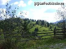 [P15] Peisaj din dulcea Bucovina. » foto by ninaa
 - 
<span class="allrVoted glyphicon glyphicon-heart hidden" id="av159612"></span>
<a class="m-l-10 hidden" id="sv159612" onclick="voting_Foto_DelVot(,159612,6008)" role="button">șterge vot <span class="glyphicon glyphicon-remove"></span></a>
<a id="v9159612" class=" c-red"  onclick="voting_Foto_SetVot(159612)" role="button"><span class="glyphicon glyphicon-heart-empty"></span> <b>LIKE</b> = Votează poza</a> <img class="hidden"  id="f159612W9" src="/imagini/loader.gif" border="0" /><span class="AjErrMes hidden" id="e159612ErM"></span>