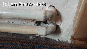 [P44] Tevi care ies din perete_cu praf milenar si insecte » foto by Max77
 - 
<span class="allrVoted glyphicon glyphicon-heart hidden" id="av1025175"></span>
<a class="m-l-10 hidden" id="sv1025175" onclick="voting_Foto_DelVot(,1025175,6012)" role="button">șterge vot <span class="glyphicon glyphicon-remove"></span></a>
<a id="v91025175" class=" c-red"  onclick="voting_Foto_SetVot(1025175)" role="button"><span class="glyphicon glyphicon-heart-empty"></span> <b>LIKE</b> = Votează poza</a> <img class="hidden"  id="f1025175W9" src="/imagini/loader.gif" border="0" /><span class="AjErrMes hidden" id="e1025175ErM"></span>