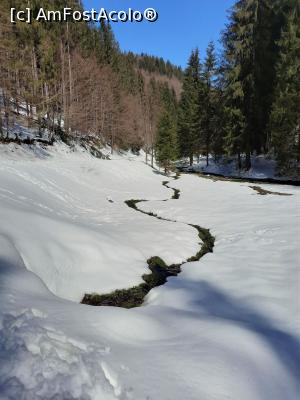 [P14] Pârâul își face loc prin zăpadă » foto by BOGDAN DSN
 - 
<span class="allrVoted glyphicon glyphicon-heart hidden" id="av1223061"></span>
<a class="m-l-10 hidden" id="sv1223061" onclick="voting_Foto_DelVot(,1223061,6050)" role="button">șterge vot <span class="glyphicon glyphicon-remove"></span></a>
<a id="v91223061" class=" c-red"  onclick="voting_Foto_SetVot(1223061)" role="button"><span class="glyphicon glyphicon-heart-empty"></span> <b>LIKE</b> = Votează poza</a> <img class="hidden"  id="f1223061W9" src="/imagini/loader.gif" border="0" /><span class="AjErrMes hidden" id="e1223061ErM"></span>