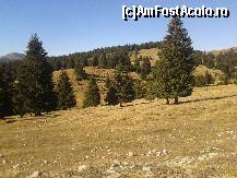 [P01] In Saua Dichiului, coborând spre cabana Zanoaga » foto by albena
 - 
<span class="allrVoted glyphicon glyphicon-heart hidden" id="av480642"></span>
<a class="m-l-10 hidden" id="sv480642" onclick="voting_Foto_DelVot(,480642,6055)" role="button">șterge vot <span class="glyphicon glyphicon-remove"></span></a>
<a id="v9480642" class=" c-red"  onclick="voting_Foto_SetVot(480642)" role="button"><span class="glyphicon glyphicon-heart-empty"></span> <b>LIKE</b> = Votează poza</a> <img class="hidden"  id="f480642W9" src="/imagini/loader.gif" border="0" /><span class="AjErrMes hidden" id="e480642ErM"></span>