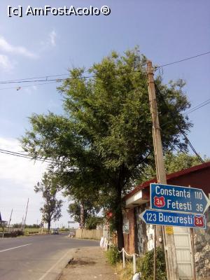 [P14] Ciulnița, Bărăgan, mai » foto by Mioritik
 - 
<span class="allrVoted glyphicon glyphicon-heart hidden" id="av1297247"></span>
<a class="m-l-10 hidden" id="sv1297247" onclick="voting_Foto_DelVot(,1297247,6062)" role="button">șterge vot <span class="glyphicon glyphicon-remove"></span></a>
<a id="v91297247" class=" c-red"  onclick="voting_Foto_SetVot(1297247)" role="button"><span class="glyphicon glyphicon-heart-empty"></span> <b>LIKE</b> = Votează poza</a> <img class="hidden"  id="f1297247W9" src="/imagini/loader.gif" border="0" /><span class="AjErrMes hidden" id="e1297247ErM"></span>