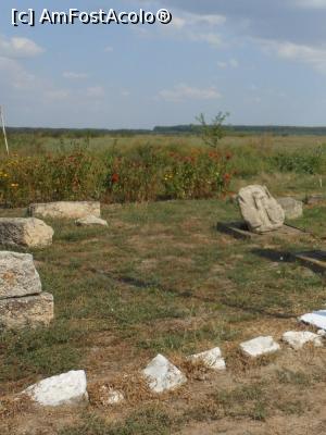 [P11] Orașul de Floci - Alte fragmente de piatră expuse lângă Baza de Cercetare.  » foto by iulianic
 - 
<span class="allrVoted glyphicon glyphicon-heart hidden" id="av1107016"></span>
<a class="m-l-10 hidden" id="sv1107016" onclick="voting_Foto_DelVot(,1107016,6062)" role="button">șterge vot <span class="glyphicon glyphicon-remove"></span></a>
<a id="v91107016" class=" c-red"  onclick="voting_Foto_SetVot(1107016)" role="button"><span class="glyphicon glyphicon-heart-empty"></span> <b>LIKE</b> = Votează poza</a> <img class="hidden"  id="f1107016W9" src="/imagini/loader.gif" border="0" /><span class="AjErrMes hidden" id="e1107016ErM"></span>