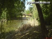 [P08] lacul din spatele hotelului Dallas » foto by valimi
 - 
<span class="allrVoted glyphicon glyphicon-heart hidden" id="av85524"></span>
<a class="m-l-10 hidden" id="sv85524" onclick="voting_Foto_DelVot(,85524,6062)" role="button">șterge vot <span class="glyphicon glyphicon-remove"></span></a>
<a id="v985524" class=" c-red"  onclick="voting_Foto_SetVot(85524)" role="button"><span class="glyphicon glyphicon-heart-empty"></span> <b>LIKE</b> = Votează poza</a> <img class="hidden"  id="f85524W9" src="/imagini/loader.gif" border="0" /><span class="AjErrMes hidden" id="e85524ErM"></span>