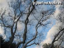 [P15] Intr-o asemenea zi minunata de week end,in Amara iti trece tot amaru' » foto by dorgo
 - 
<span class="allrVoted glyphicon glyphicon-heart hidden" id="av86674"></span>
<a class="m-l-10 hidden" id="sv86674" onclick="voting_Foto_DelVot(,86674,6062)" role="button">șterge vot <span class="glyphicon glyphicon-remove"></span></a>
<a id="v986674" class=" c-red"  onclick="voting_Foto_SetVot(86674)" role="button"><span class="glyphicon glyphicon-heart-empty"></span> <b>LIKE</b> = Votează poza</a> <img class="hidden"  id="f86674W9" src="/imagini/loader.gif" border="0" /><span class="AjErrMes hidden" id="e86674ErM"></span>