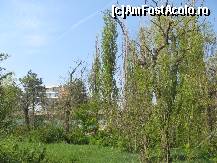 [P18] Parcul din statiunea balneara Amara » foto by dorgo
 - 
<span class="allrVoted glyphicon glyphicon-heart hidden" id="av173563"></span>
<a class="m-l-10 hidden" id="sv173563" onclick="voting_Foto_DelVot(,173563,6062)" role="button">șterge vot <span class="glyphicon glyphicon-remove"></span></a>
<a id="v9173563" class=" c-red"  onclick="voting_Foto_SetVot(173563)" role="button"><span class="glyphicon glyphicon-heart-empty"></span> <b>LIKE</b> = Votează poza</a> <img class="hidden"  id="f173563W9" src="/imagini/loader.gif" border="0" /><span class="AjErrMes hidden" id="e173563ErM"></span>