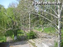 [P19] Alei de promenada prin parcul Amara » foto by dorgo
 - 
<span class="allrVoted glyphicon glyphicon-heart hidden" id="av173564"></span>
<a class="m-l-10 hidden" id="sv173564" onclick="voting_Foto_DelVot(,173564,6062)" role="button">șterge vot <span class="glyphicon glyphicon-remove"></span></a>
<a id="v9173564" class=" c-red"  onclick="voting_Foto_SetVot(173564)" role="button"><span class="glyphicon glyphicon-heart-empty"></span> <b>LIKE</b> = Votează poza</a> <img class="hidden"  id="f173564W9" src="/imagini/loader.gif" border="0" /><span class="AjErrMes hidden" id="e173564ErM"></span>