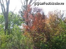 [P02] Parcul din Amara » foto by dorgo
 - 
<span class="allrVoted glyphicon glyphicon-heart hidden" id="av86658"></span>
<a class="m-l-10 hidden" id="sv86658" onclick="voting_Foto_DelVot(,86658,6062)" role="button">șterge vot <span class="glyphicon glyphicon-remove"></span></a>
<a id="v986658" class=" c-red"  onclick="voting_Foto_SetVot(86658)" role="button"><span class="glyphicon glyphicon-heart-empty"></span> <b>LIKE</b> = Votează poza</a> <img class="hidden"  id="f86658W9" src="/imagini/loader.gif" border="0" /><span class="AjErrMes hidden" id="e86658ErM"></span>