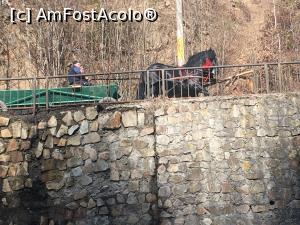 [P07] Slănic Moldova- ”șasă cai frumouși”, ăștia-s primii doi » foto by Yersinia Pestis
 - 
<span class="allrVoted glyphicon glyphicon-heart hidden" id="av1278833"></span>
<a class="m-l-10 hidden" id="sv1278833" onclick="voting_Foto_DelVot(,1278833,6086)" role="button">șterge vot <span class="glyphicon glyphicon-remove"></span></a>
<a id="v91278833" class=" c-red"  onclick="voting_Foto_SetVot(1278833)" role="button"><span class="glyphicon glyphicon-heart-empty"></span> <b>LIKE</b> = Votează poza</a> <img class="hidden"  id="f1278833W9" src="/imagini/loader.gif" border="0" /><span class="AjErrMes hidden" id="e1278833ErM"></span>