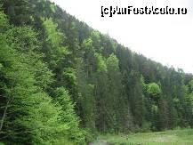 [P02]  -- <small>// FĂRĂ DESCRIERE</small> » foto by daria40
 - 
<span class="allrVoted glyphicon glyphicon-heart hidden" id="av94738"></span>
<a class="m-l-10 hidden" id="sv94738" onclick="voting_Foto_DelVot(,94738,6086)" role="button">șterge vot <span class="glyphicon glyphicon-remove"></span></a>
<a id="v994738" class=" c-red"  onclick="voting_Foto_SetVot(94738)" role="button"><span class="glyphicon glyphicon-heart-empty"></span> <b>LIKE</b> = Votează poza</a> <img class="hidden"  id="f94738W9" src="/imagini/loader.gif" border="0" /><span class="AjErrMes hidden" id="e94738ErM"></span>