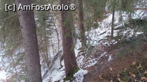 [P30] Covasna, pe Valea Zânelor » foto by Dragoș_MD
 - 
<span class="allrVoted glyphicon glyphicon-heart hidden" id="av1518834"></span>
<a class="m-l-10 hidden" id="sv1518834" onclick="voting_Foto_DelVot(,1518834,6148)" role="button">șterge vot <span class="glyphicon glyphicon-remove"></span></a>
<a id="v91518834" class=" c-red"  onclick="voting_Foto_SetVot(1518834)" role="button"><span class="glyphicon glyphicon-heart-empty"></span> <b>LIKE</b> = Votează poza</a> <img class="hidden"  id="f1518834W9" src="/imagini/loader.gif" border="0" /><span class="AjErrMes hidden" id="e1518834ErM"></span>