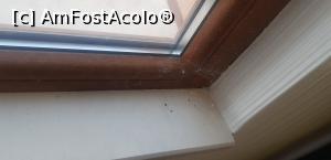 [P07] Păianjen la colțul geamului la una din camere » foto by bogdan78
 - 
<span class="allrVoted glyphicon glyphicon-heart hidden" id="av1248559"></span>
<a class="m-l-10 hidden" id="sv1248559" onclick="voting_Foto_DelVot(,1248559,6195)" role="button">șterge vot <span class="glyphicon glyphicon-remove"></span></a>
<a id="v91248559" class=" c-red"  onclick="voting_Foto_SetVot(1248559)" role="button"><span class="glyphicon glyphicon-heart-empty"></span> <b>LIKE</b> = Votează poza</a> <img class="hidden"  id="f1248559W9" src="/imagini/loader.gif" border="0" /><span class="AjErrMes hidden" id="e1248559ErM"></span>
