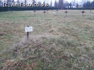 [P25] Cimitirul Săracilor » foto by adso
 - 
<span class="allrVoted glyphicon glyphicon-heart hidden" id="av1407458"></span>
<a class="m-l-10 hidden" id="sv1407458" onclick="voting_Foto_DelVot(,1407458,6200)" role="button">șterge vot <span class="glyphicon glyphicon-remove"></span></a>
<a id="v91407458" class=" c-red"  onclick="voting_Foto_SetVot(1407458)" role="button"><span class="glyphicon glyphicon-heart-empty"></span> <b>LIKE</b> = Votează poza</a> <img class="hidden"  id="f1407458W9" src="/imagini/loader.gif" border="0" /><span class="AjErrMes hidden" id="e1407458ErM"></span>