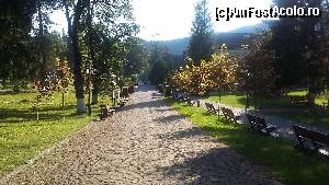 P20 [AUG-2015] Loc de odihnă și relaxare în parc. Stațiunea Borsec, Jud. Harghita