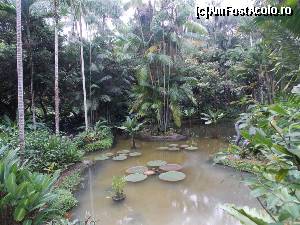 [P16] Vedere in Ginger Garden » foto by mprofeanu
 - 
<span class="allrVoted glyphicon glyphicon-heart hidden" id="av602803"></span>
<a class="m-l-10 hidden" id="sv602803" onclick="voting_Foto_DelVot(,602803,6314)" role="button">șterge vot <span class="glyphicon glyphicon-remove"></span></a>
<a id="v9602803" class=" c-red"  onclick="voting_Foto_SetVot(602803)" role="button"><span class="glyphicon glyphicon-heart-empty"></span> <b>LIKE</b> = Votează poza</a> <img class="hidden"  id="f602803W9" src="/imagini/loader.gif" border="0" /><span class="AjErrMes hidden" id="e602803ErM"></span>