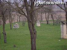 [P19] Monumentul Eroilor de la Oarba de Mures - alte sculpturi » foto by biancuta
 - 
<span class="allrVoted glyphicon glyphicon-heart hidden" id="av63458"></span>
<a class="m-l-10 hidden" id="sv63458" onclick="voting_Foto_DelVot(,63458,6324)" role="button">șterge vot <span class="glyphicon glyphicon-remove"></span></a>
<a id="v963458" class=" c-red"  onclick="voting_Foto_SetVot(63458)" role="button"><span class="glyphicon glyphicon-heart-empty"></span> <b>LIKE</b> = Votează poza</a> <img class="hidden"  id="f63458W9" src="/imagini/loader.gif" border="0" /><span class="AjErrMes hidden" id="e63458ErM"></span>